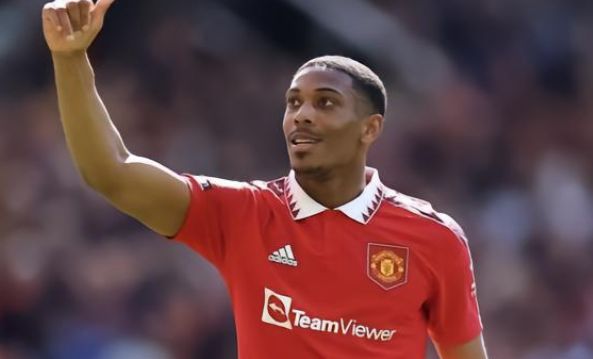 提供了一个 提供了一个